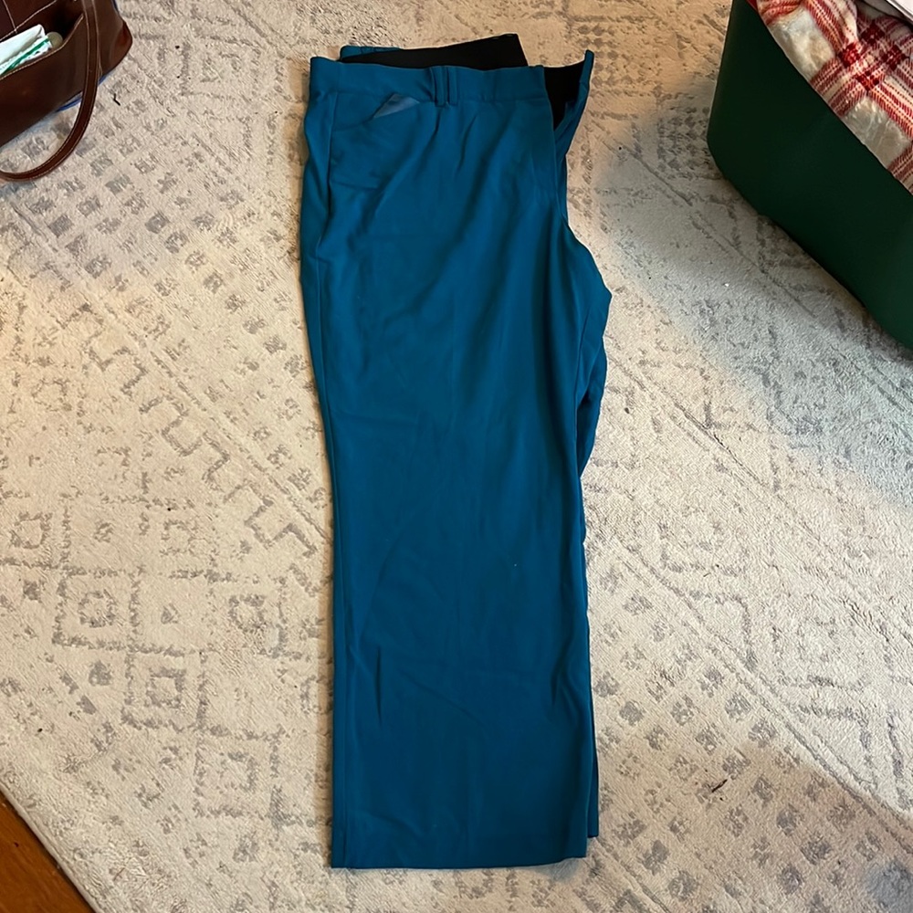 Dark teal lane Bryant womens size 28 dress pants. Worn once.